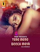Watch Tere Mere Beech Main (2025) Online Full Movie Free