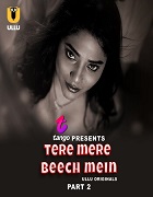 Watch Tere Mere Beech Mein (2025) Online Full Movie Free